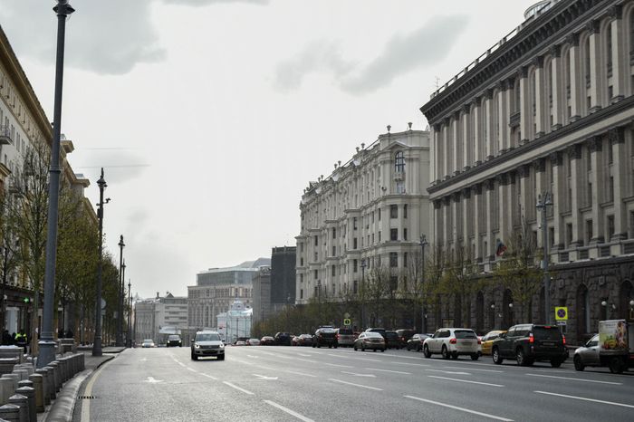 Посадка лип на Тверской улице