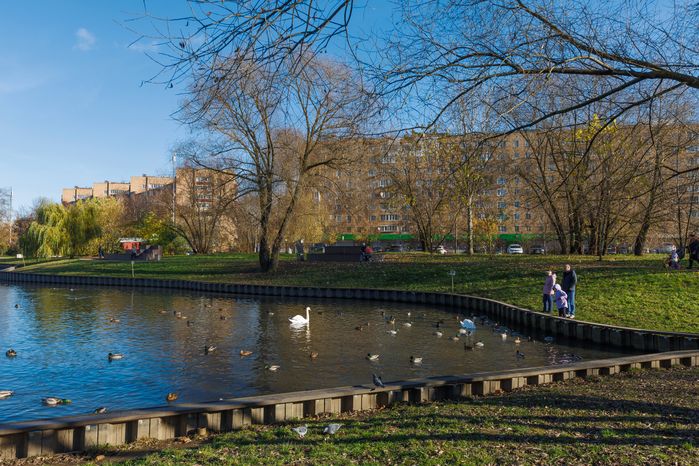 Пруд с утками и лебедями в Городском парке культуры и отдыха Долгопрудного осенью
