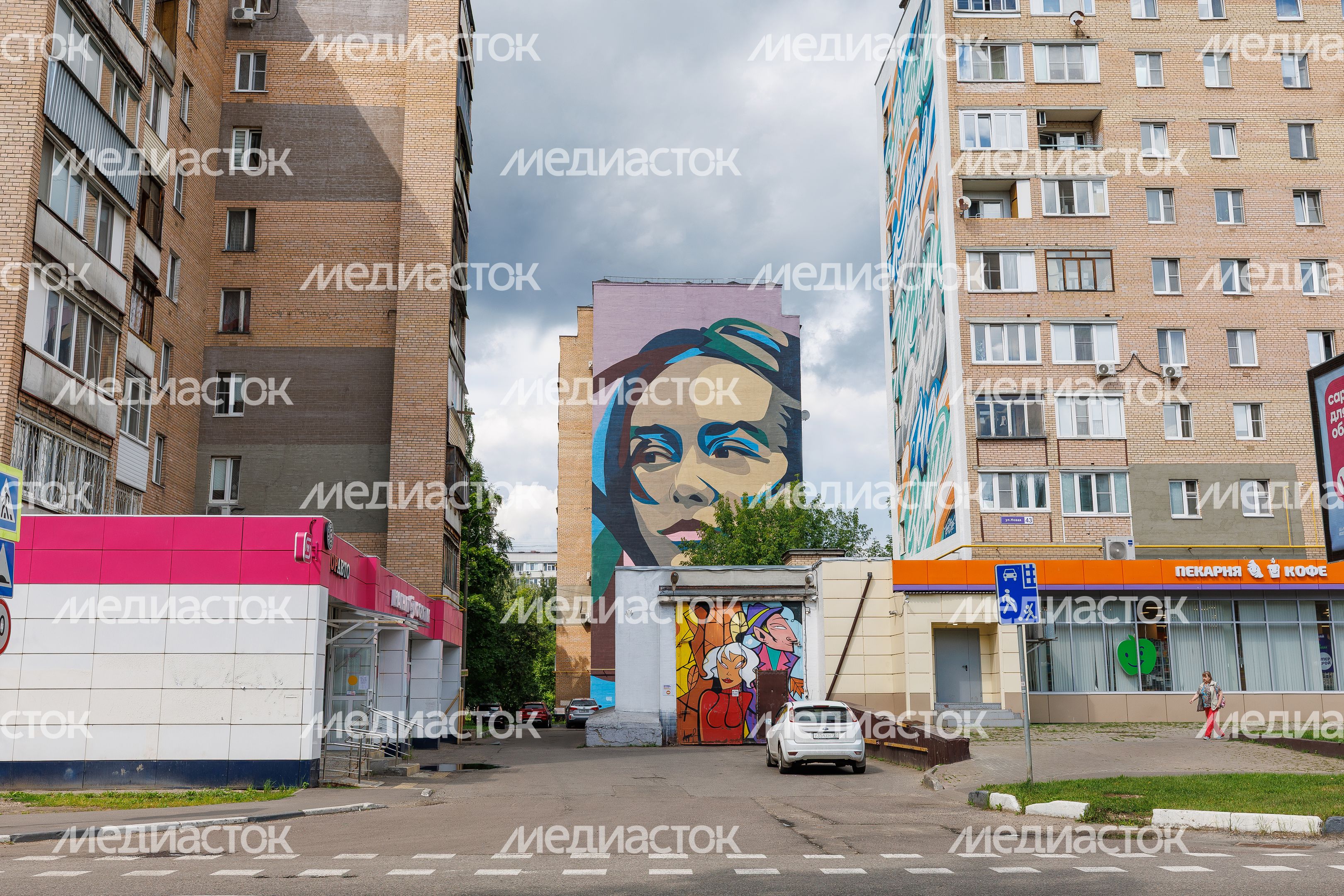 Муралы в Железнодорожном, Балашиха