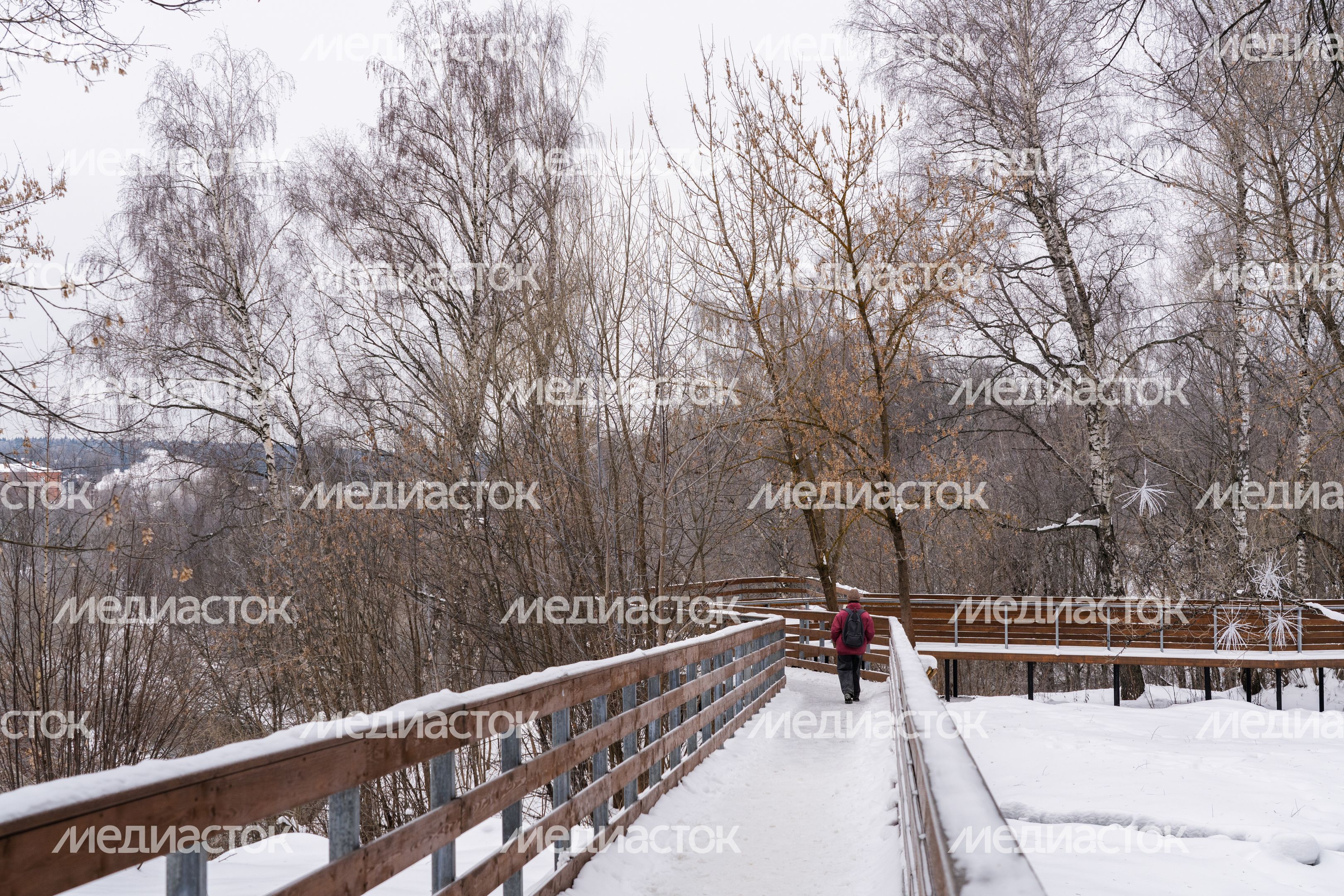 Истринский городской парк зимой Истринский городской парк зимой