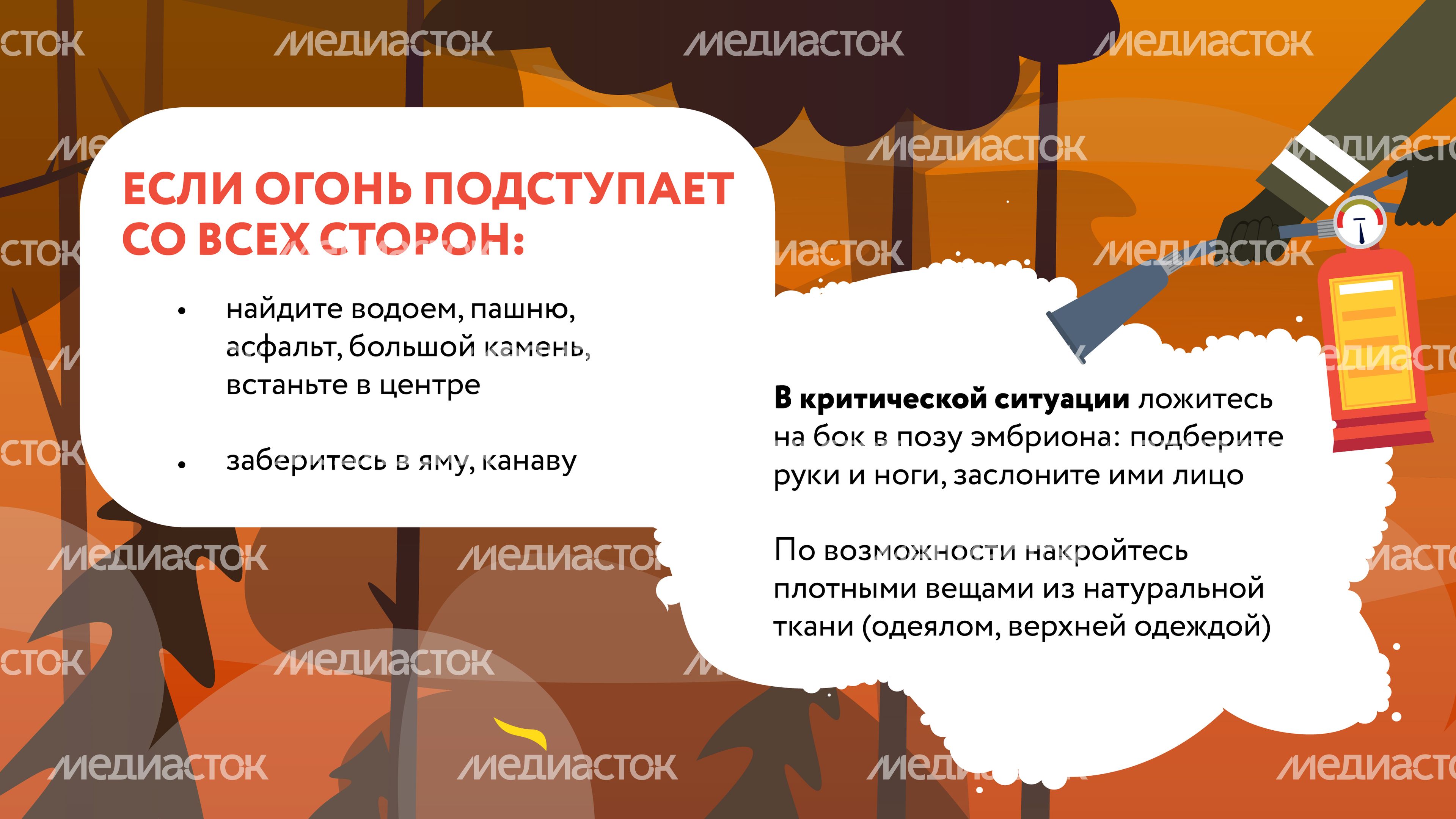 Лесные пожары-12.jpg