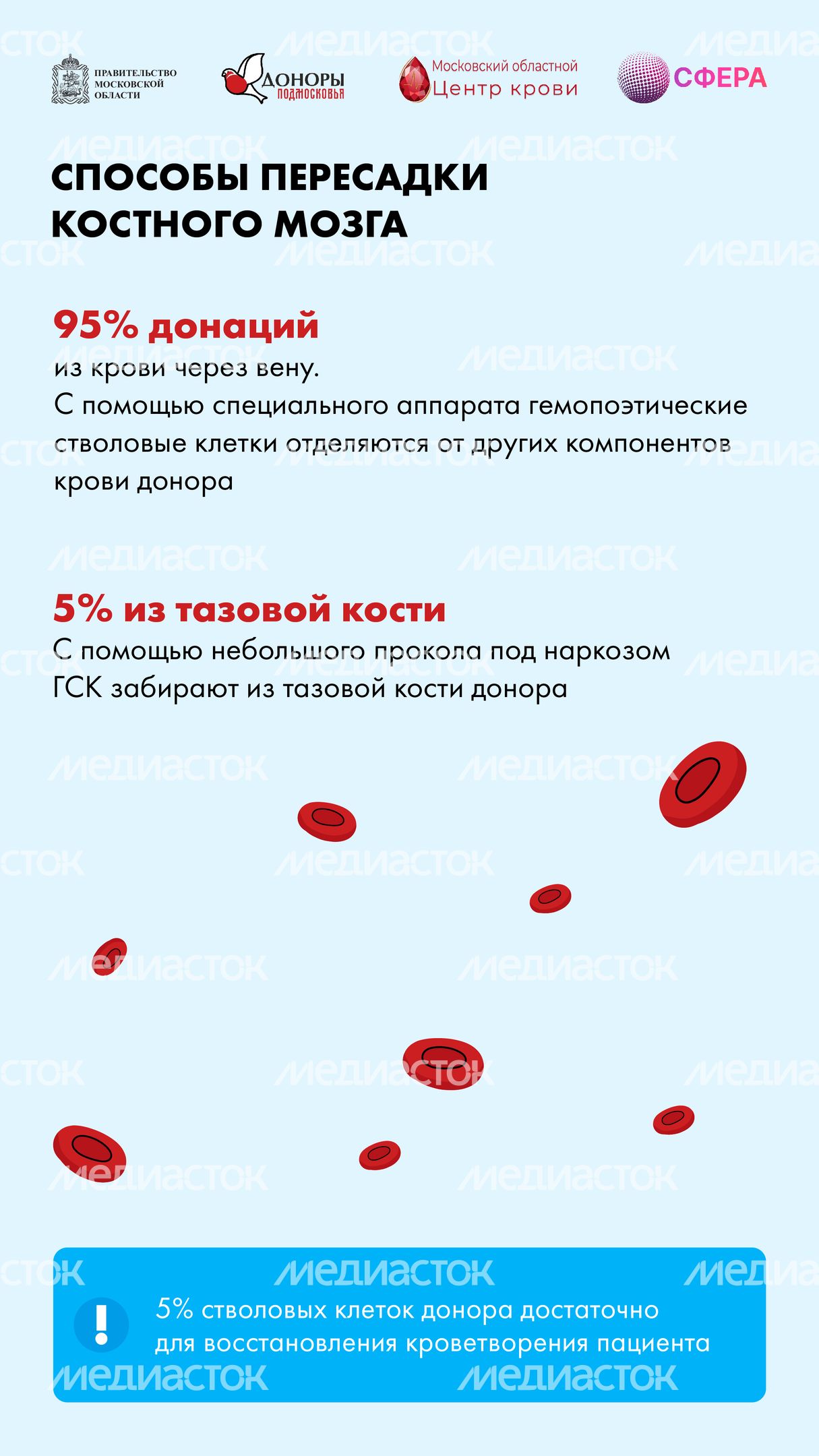 Как стать донором костного мозга вертикаль-09