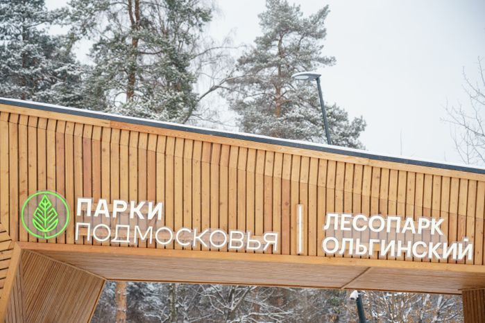 Балашиха. Ольгинский лесопарк. Зима