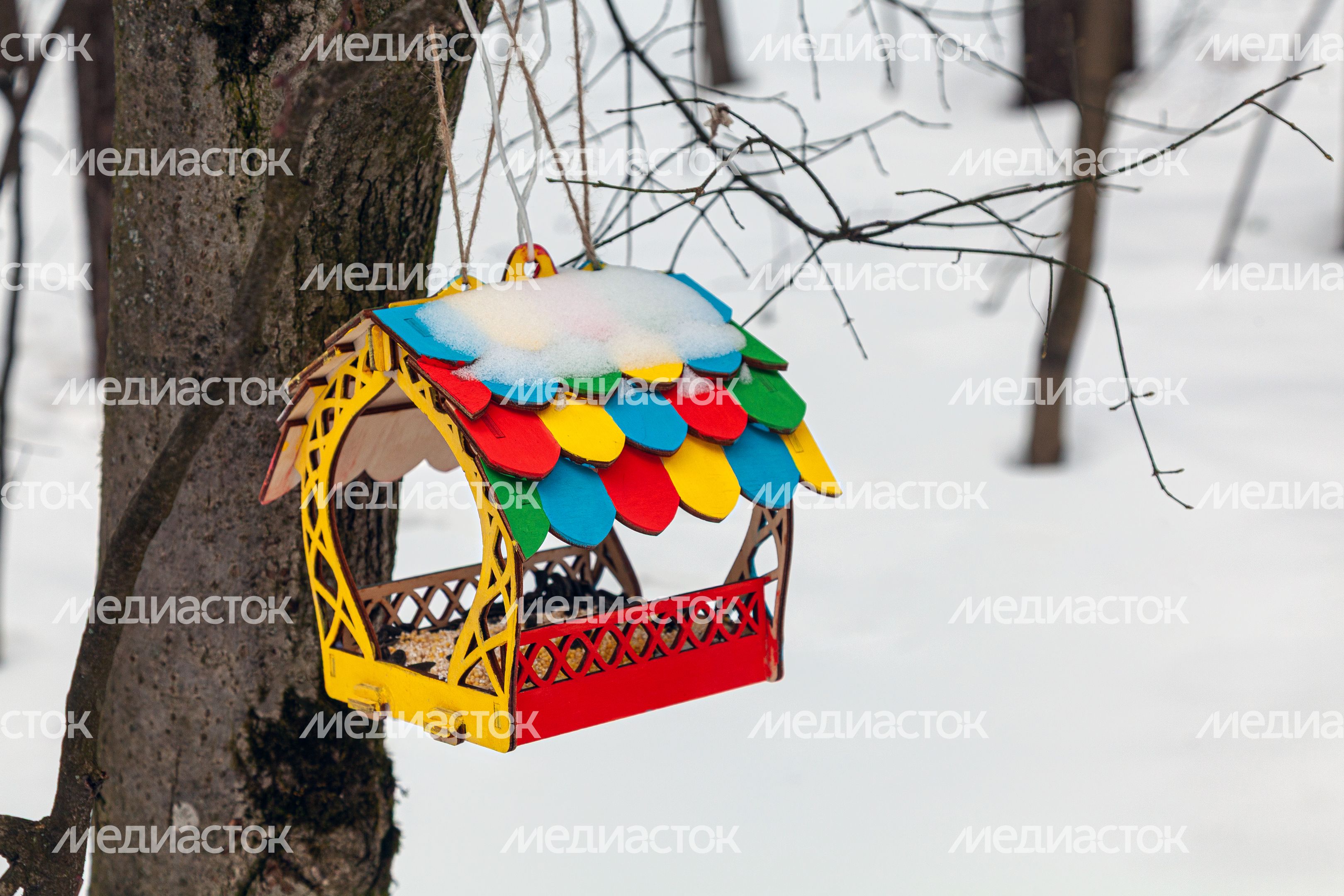 Кормушка в Томилинском лесопарке зимой в городе Дзержинский округа Люберцы