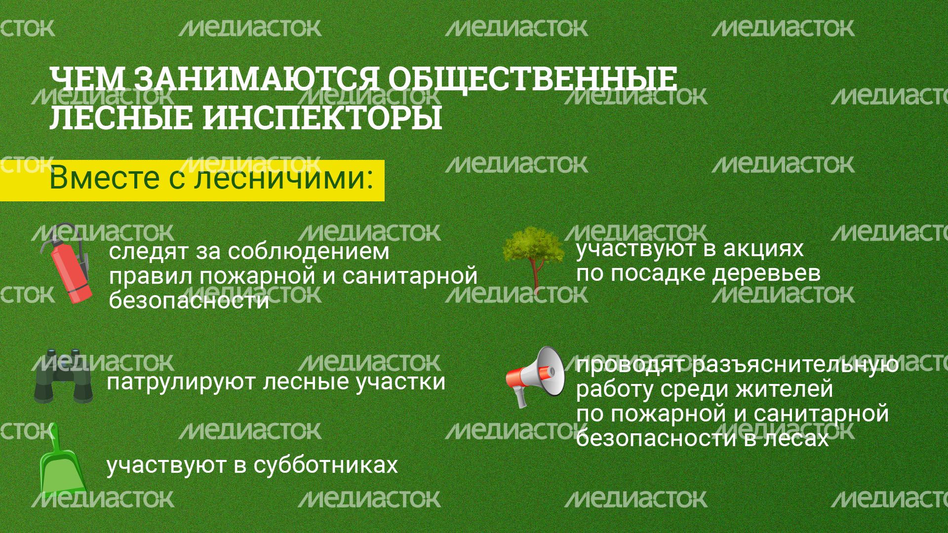 Горизонт_Как_стать_общественным_лесным_инспектором_в_Подмосковье_02.jpg
