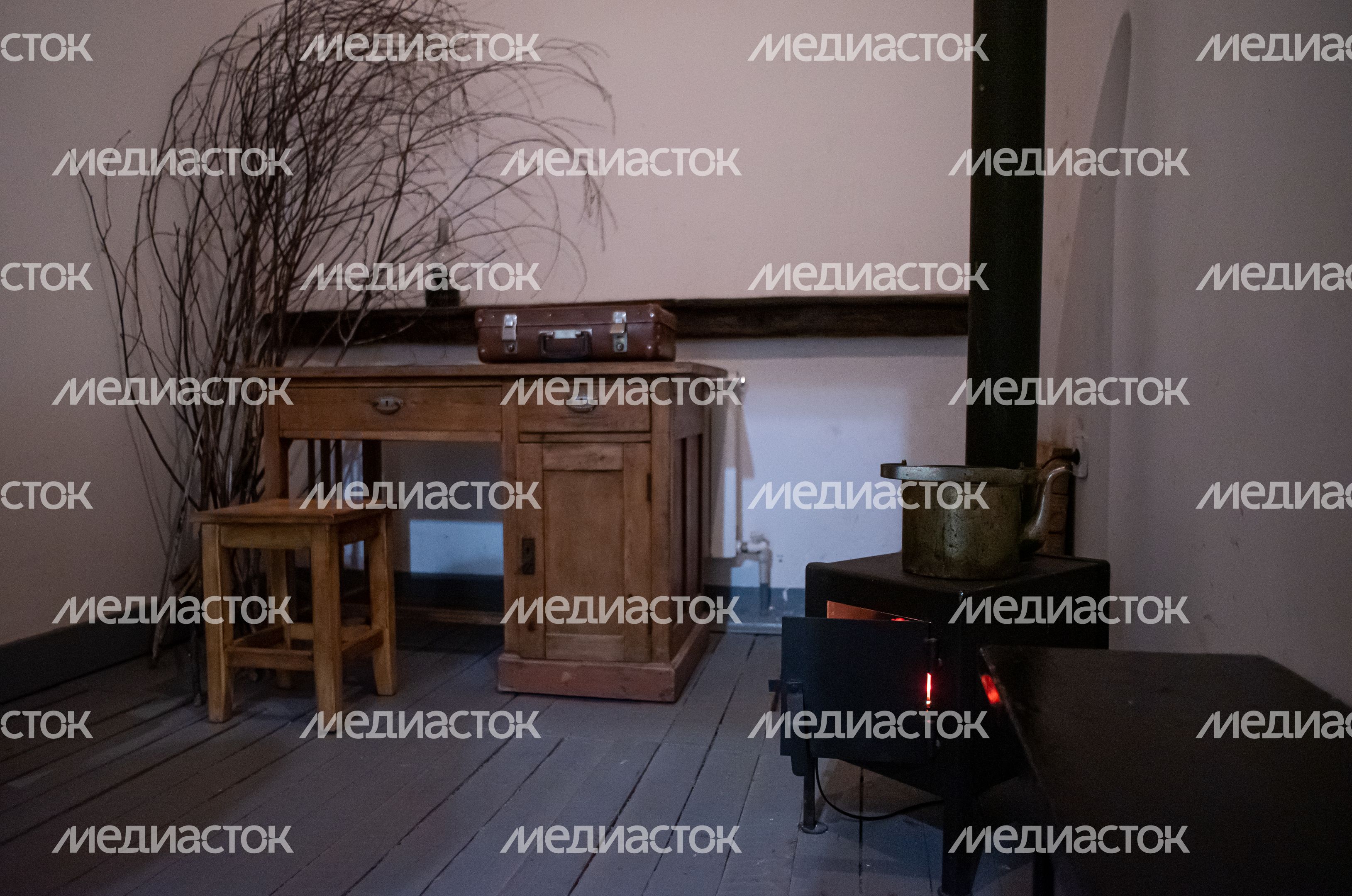 Музей истории музыкального искусства в Орехово-Зуеве