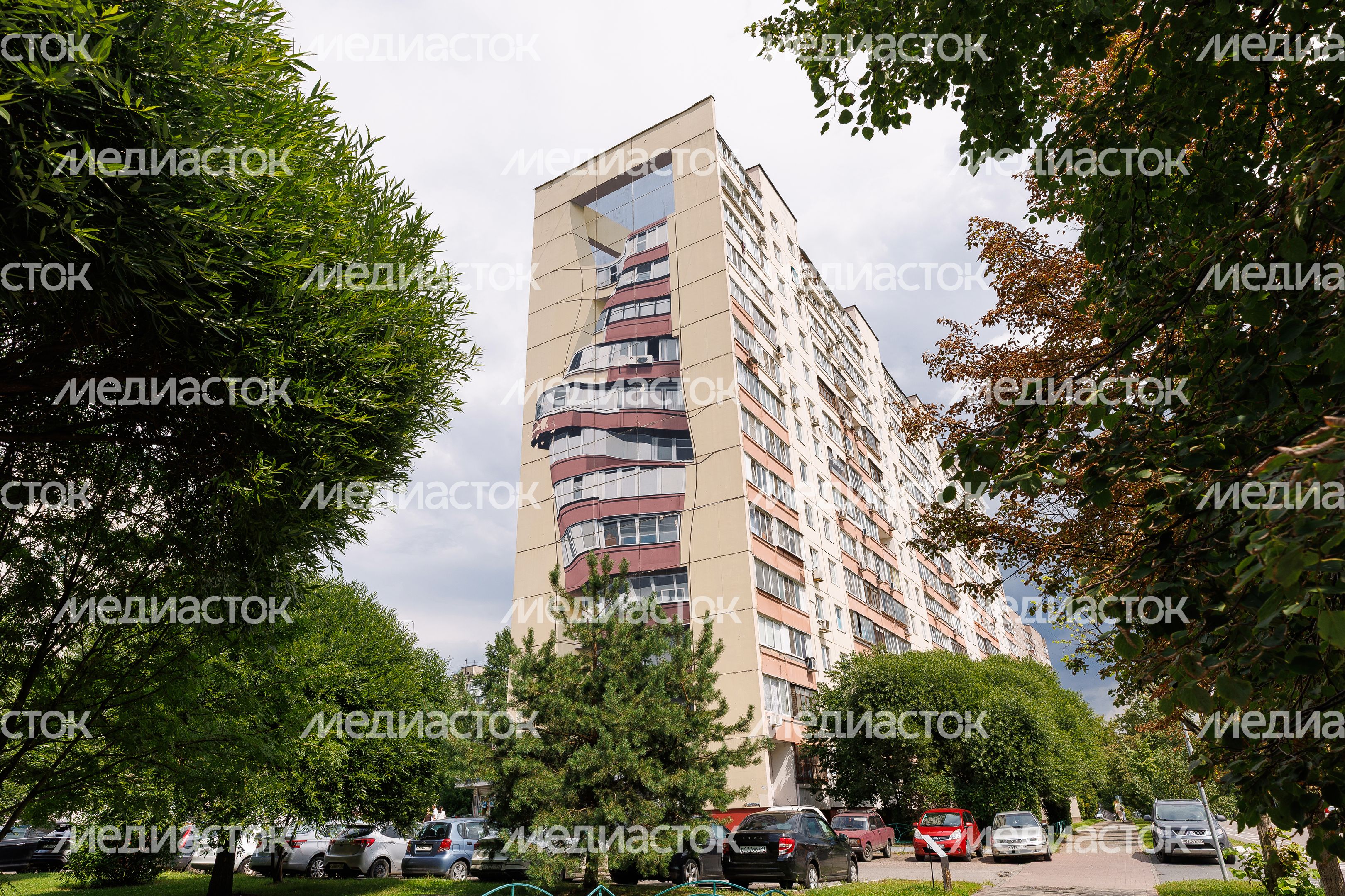 Муралы в Железнодорожном, Балашиха