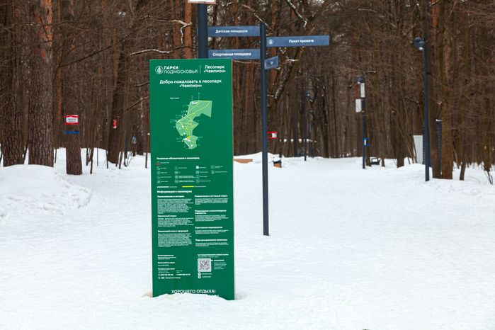 Томилинский лесопарк зимой в городе Дзержинский округа Люберцы