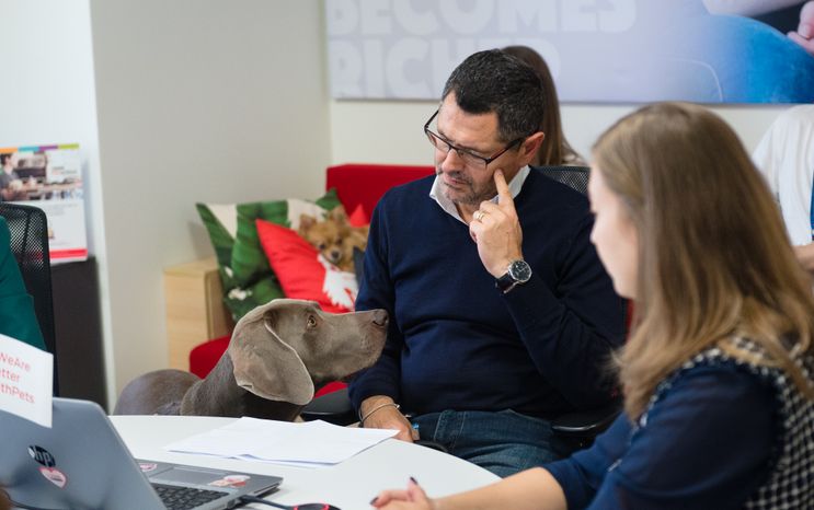 Pet‑friendly офис Purina