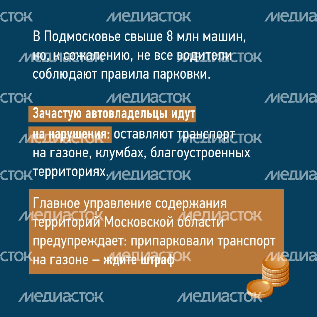 квадраты не паркуйтесь на газоне 02.jpg