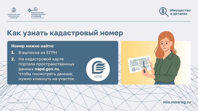 Что такое кадастровый номер участка горизонталь 04