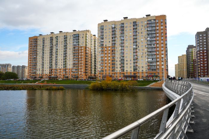 В Люберцах благоустроили парк "Дружба" с пешеходным мостом через озеро Черное