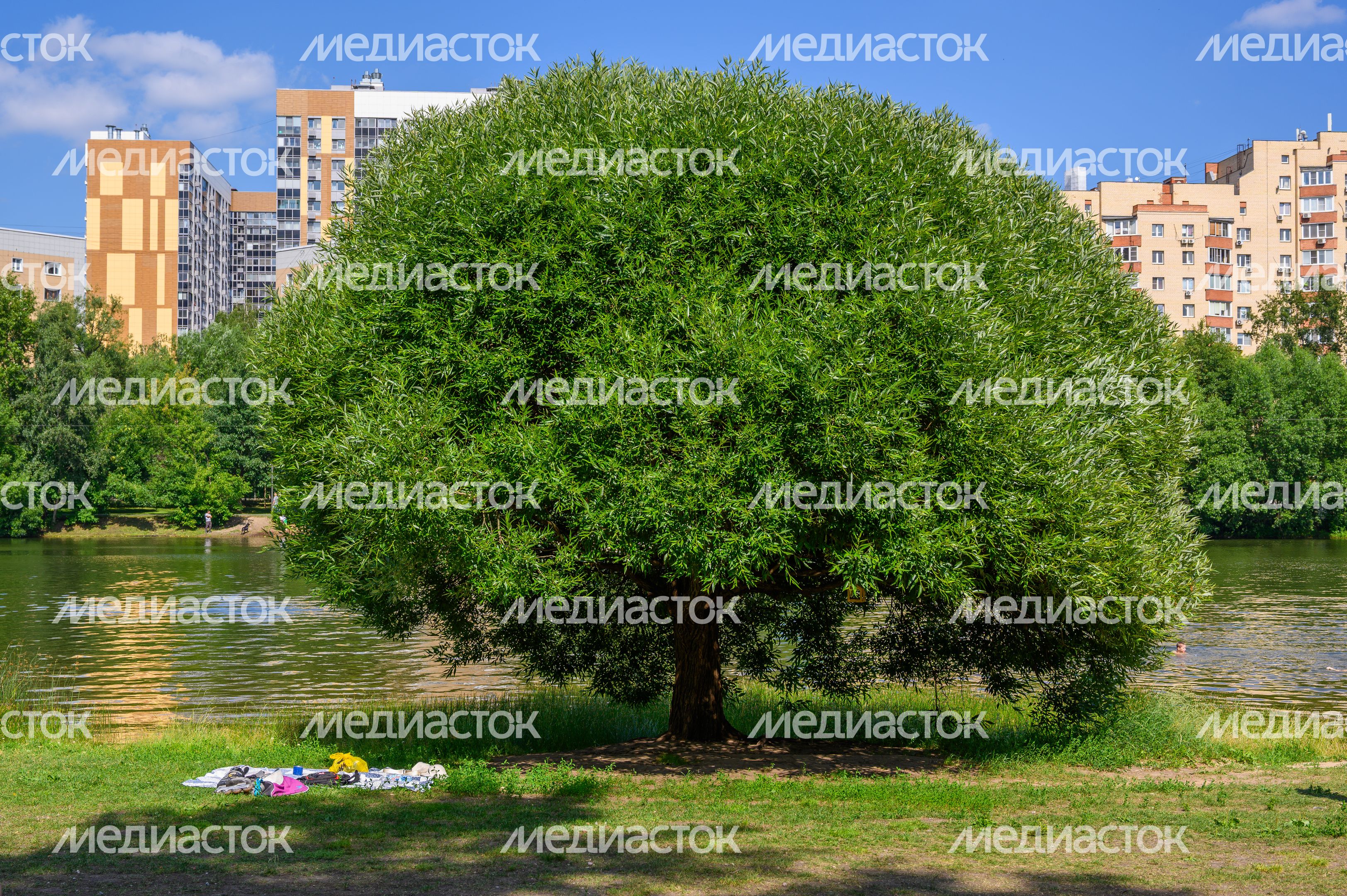 Лето в Наташинском парке Люберец