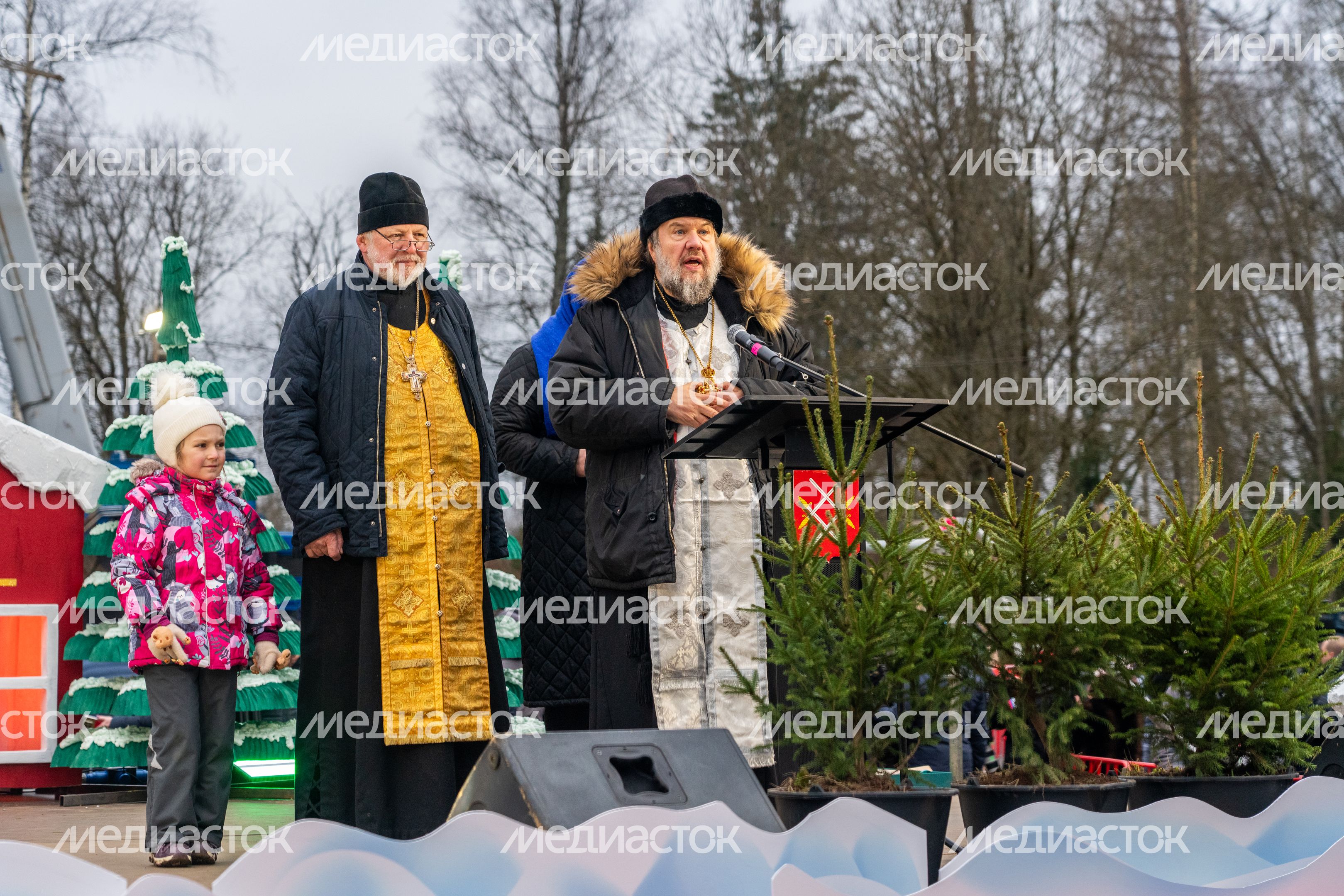 Главную новогоднюю елку страны спилили в Рузском округе Главную новогоднюю елку страны спилили в Рузском округе