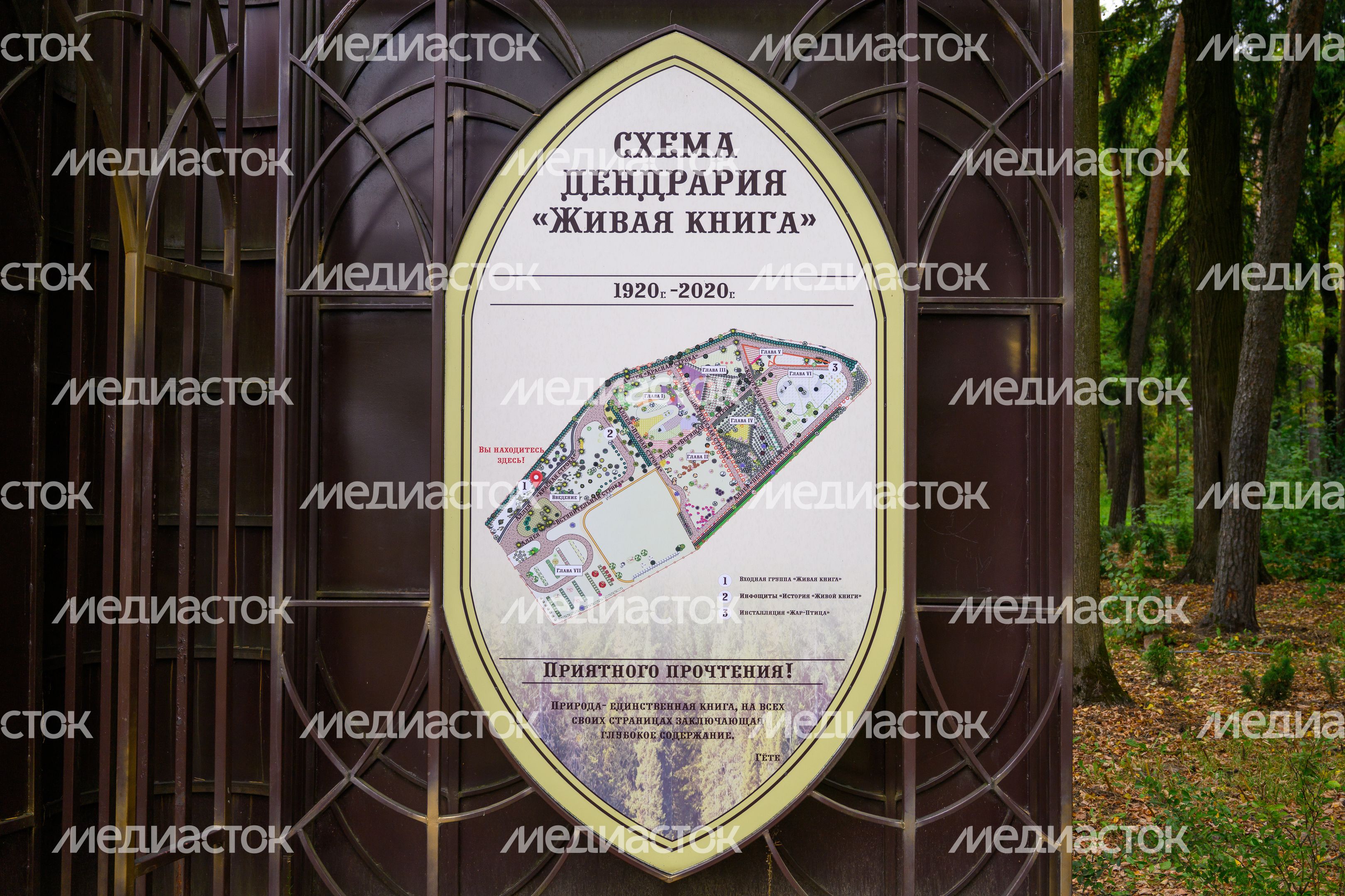 Дендрарий «Живая книга» в лесопарке «Волхонка» в Ногинске. Богородский округ