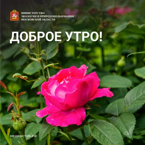 Доброе утро квадрат 03