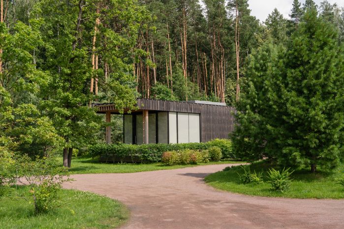 Мещерский парк летом