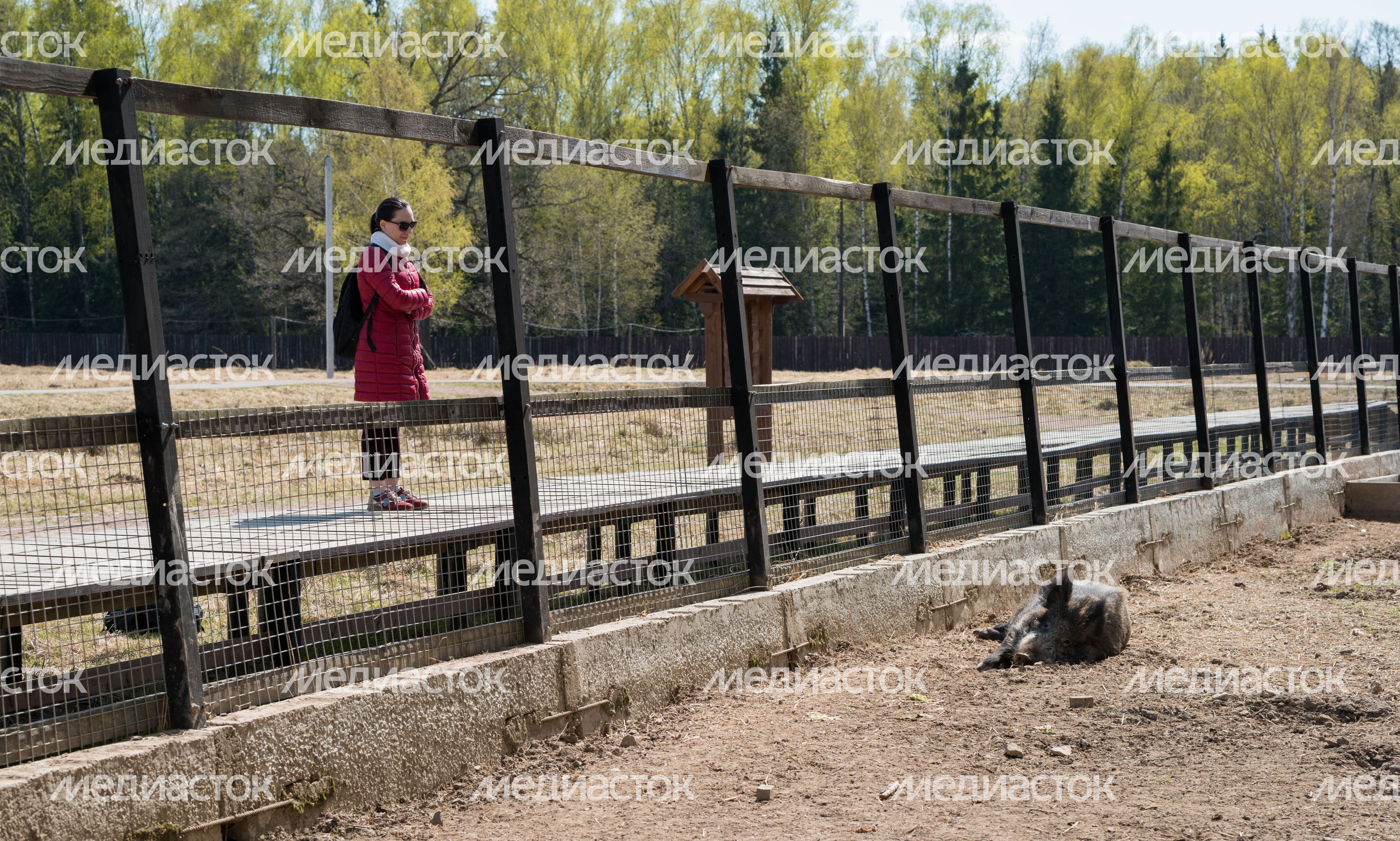 Национальный парк Лосиный остров