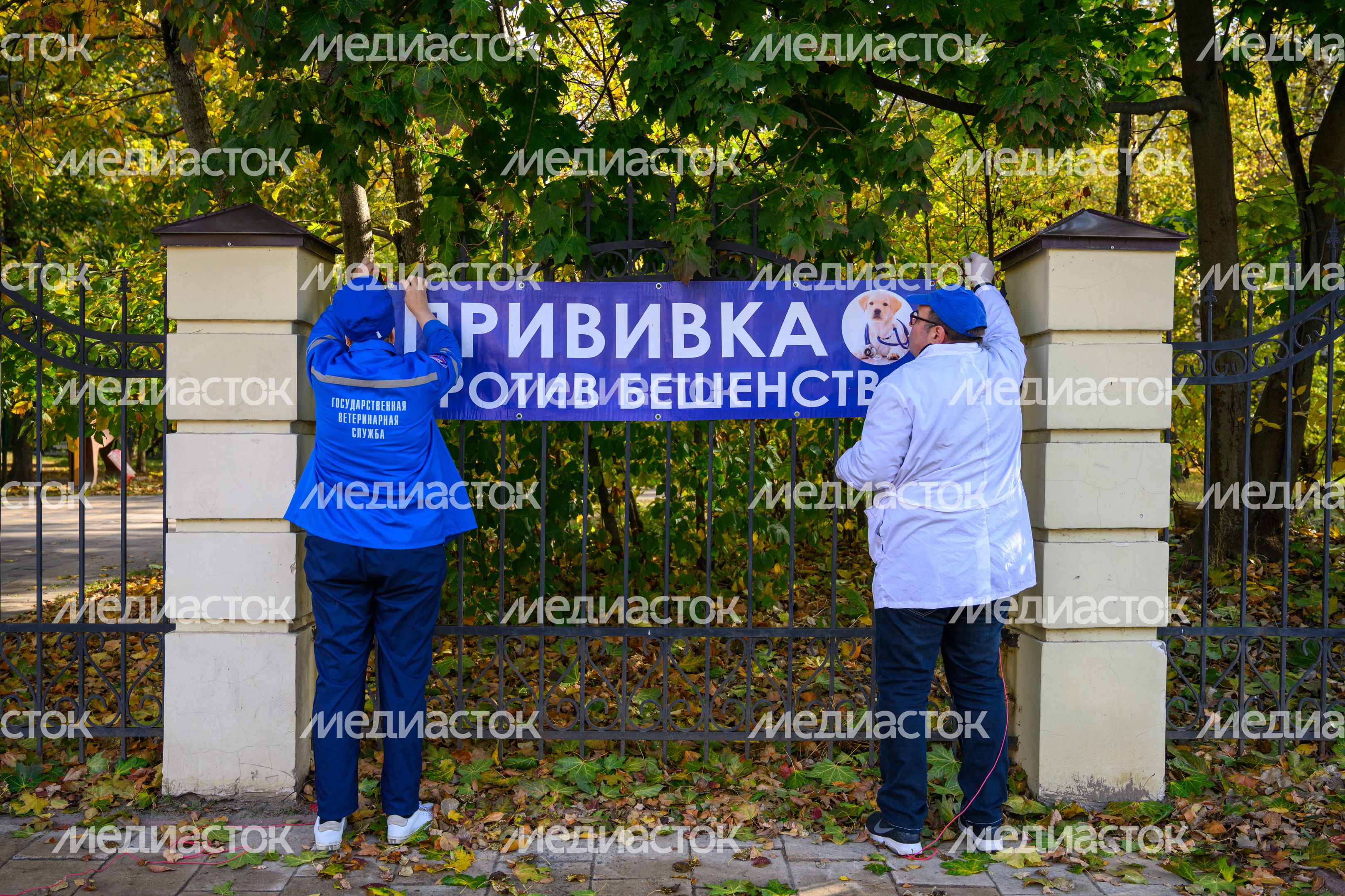 Выездная вакцинация животных в балашихинском парке "Пехорка"