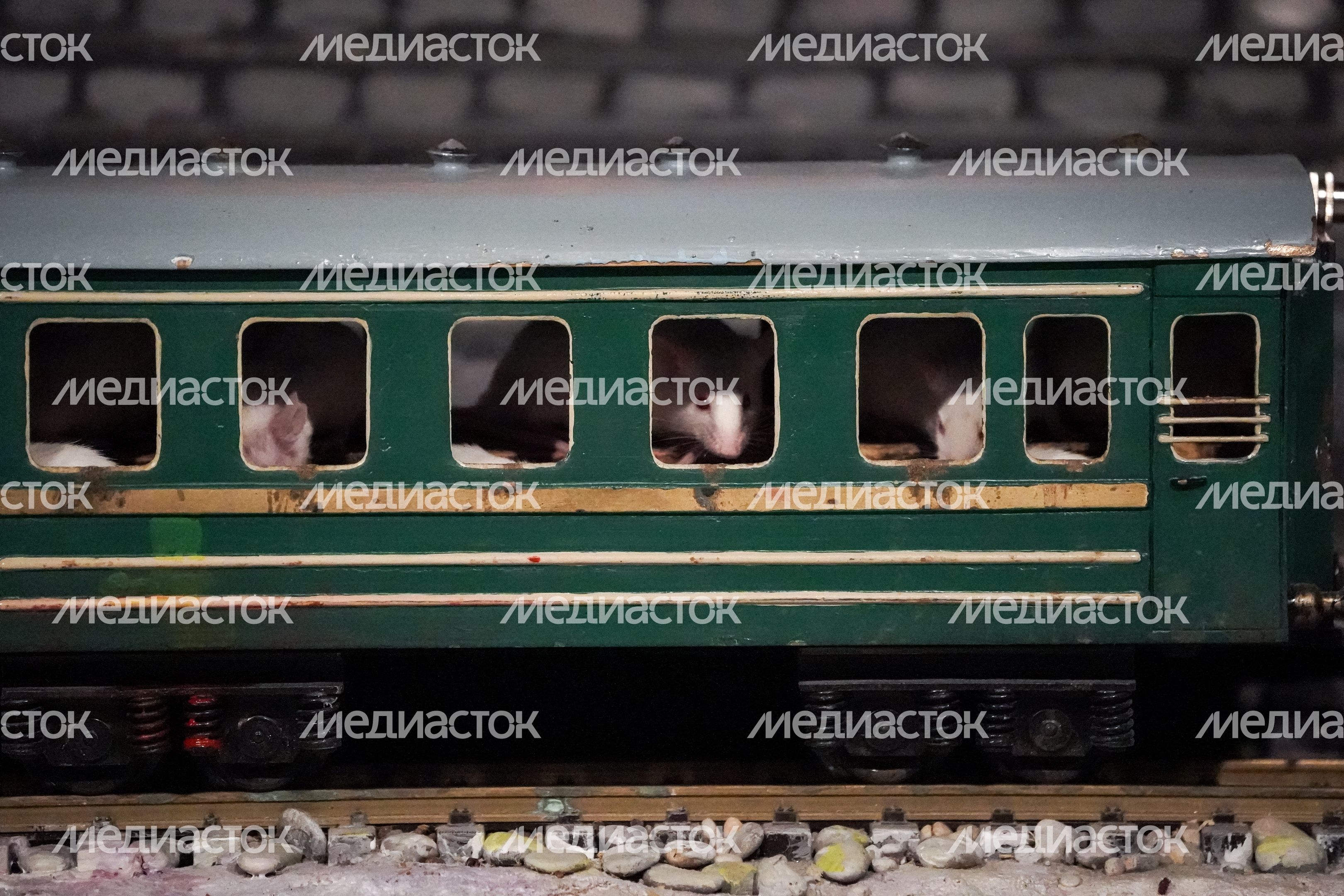 Театр «Уголок дедушки Дурова»