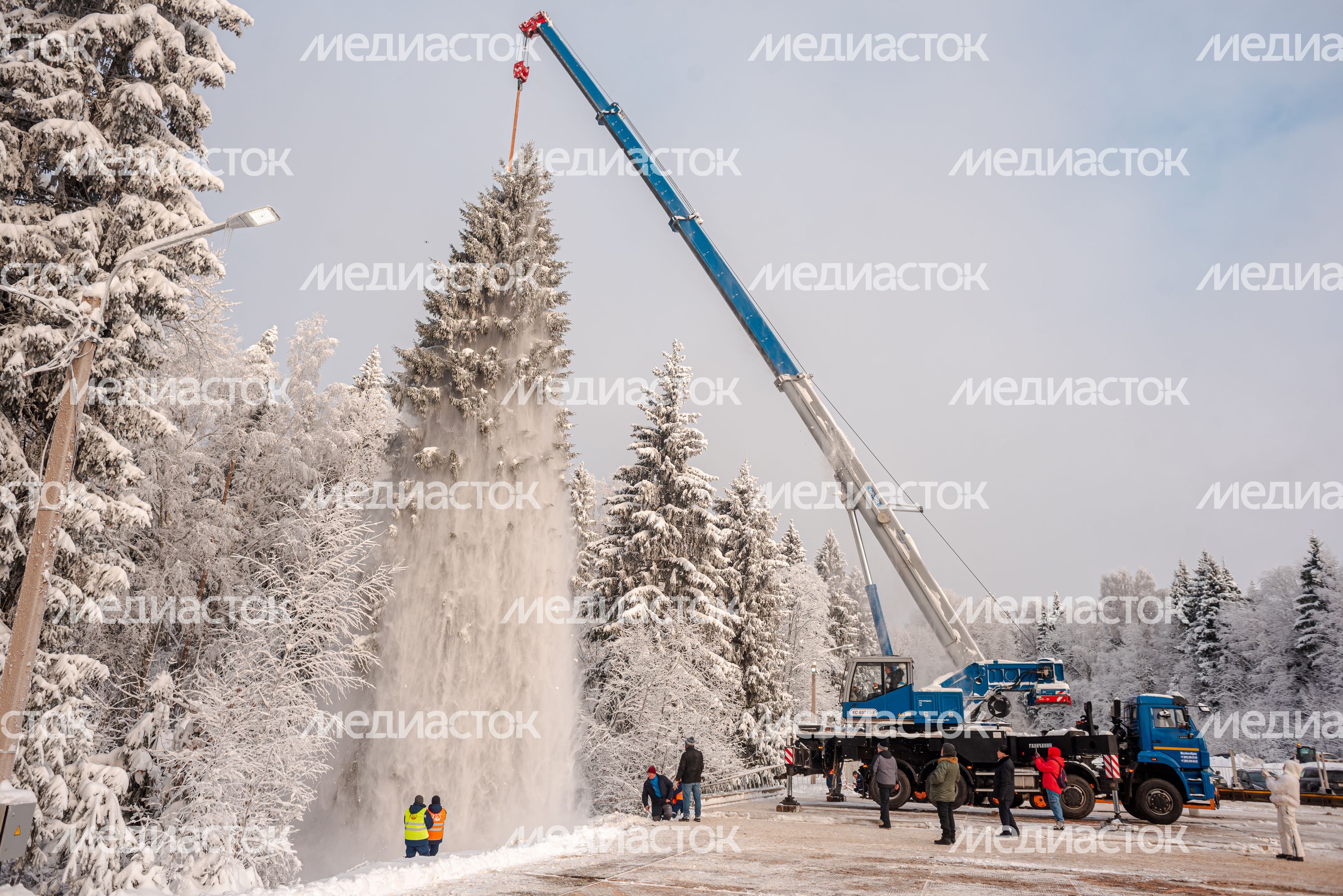 Рубка главной новогодней елки страны