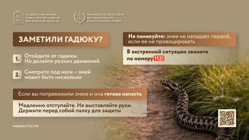 Гадюки горизонталь 06