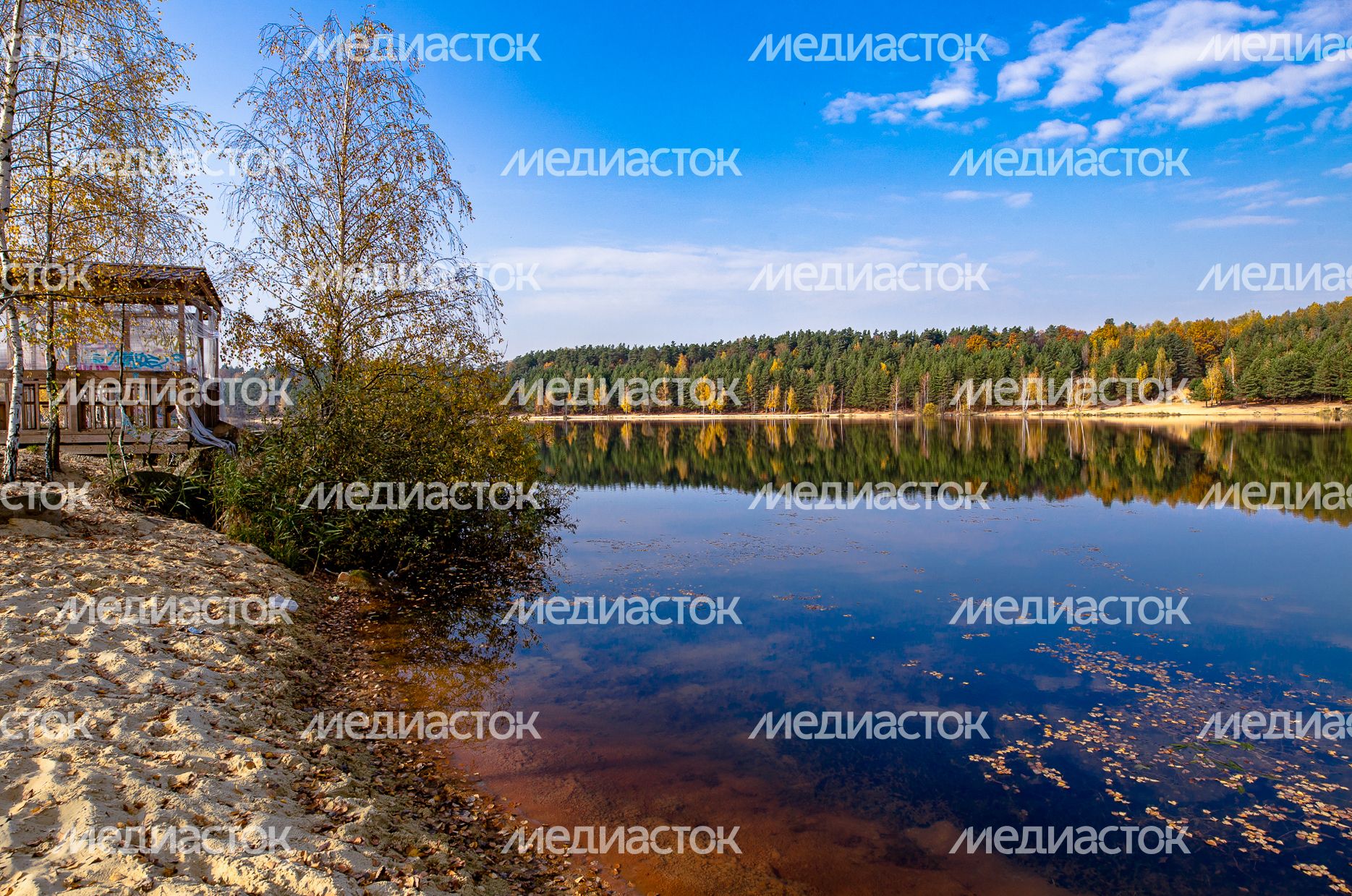 Осенние виды Волкушинского карьера