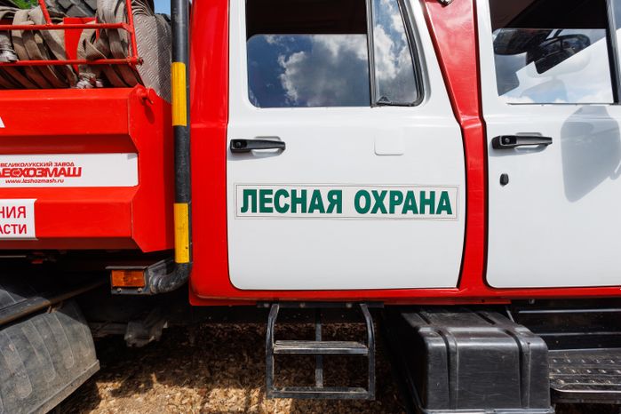 Сад Памяти в Подмосковье-2026: лесная охрана на акции по посадке деревьев в Химках