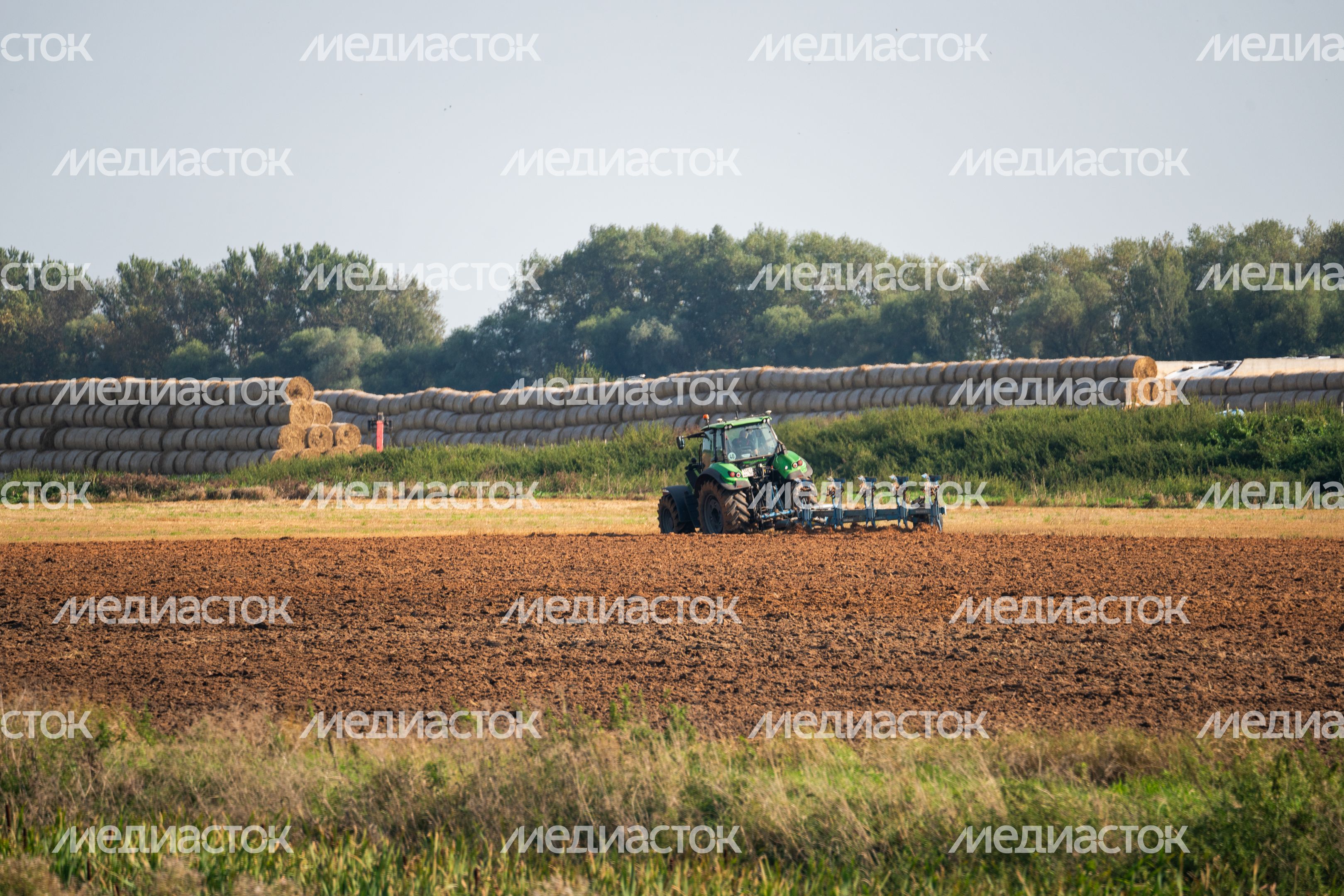 Уборка урожая на полях ГК "Дмитровские овощи" Уборка урожая на полях ГК "Дмитровские овощи"