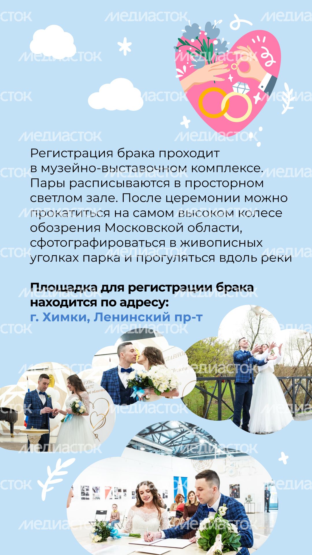 Вертикаль Парк Толстого 04.jpg