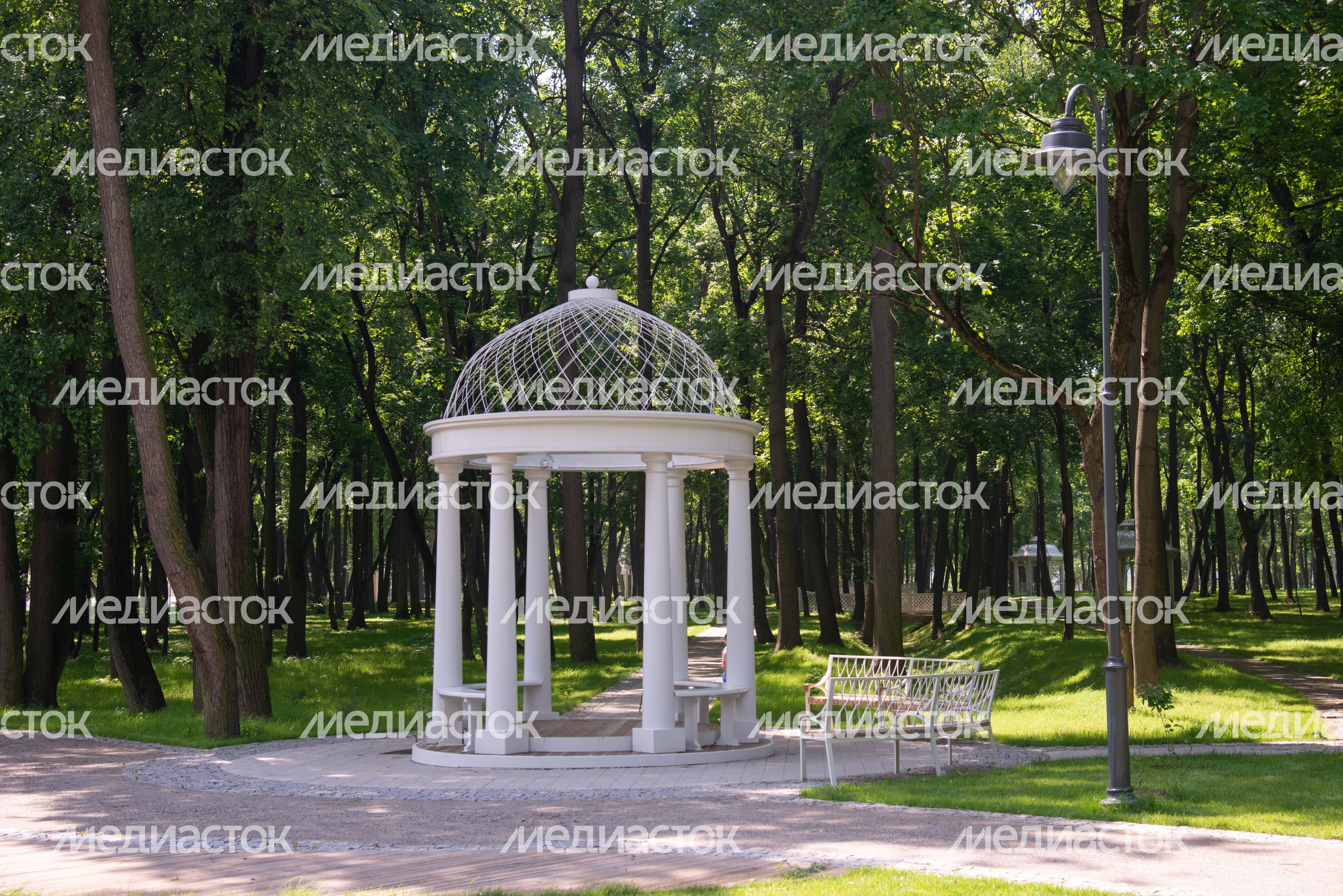 Парк Кривякино