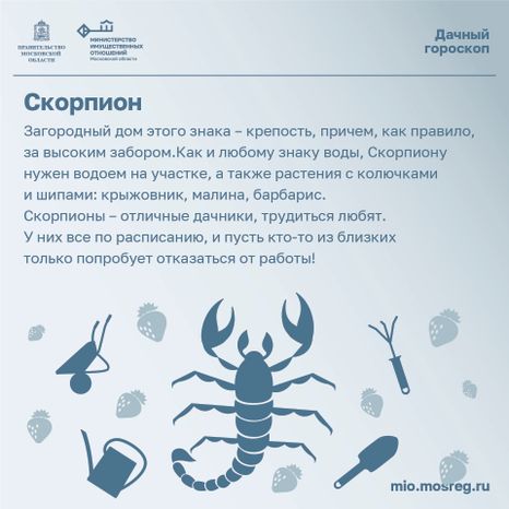 Дачный гороскоп