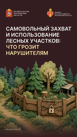 Самовольный захват и использование лесных участков вертикаль 01