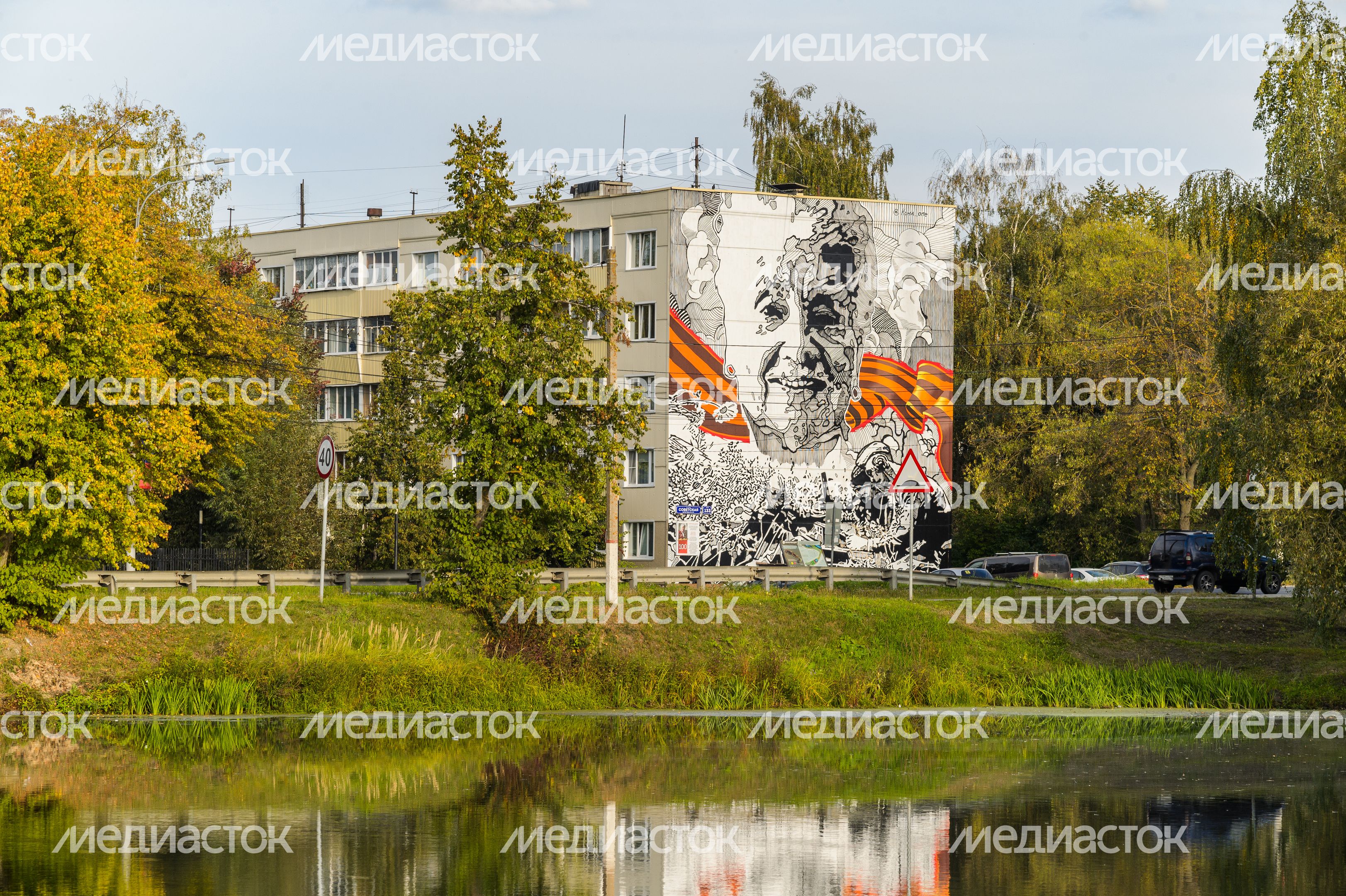 Бронницы. Кожурновский пруд Бронницы. Кожурновский пруд