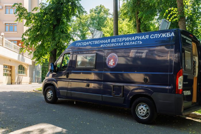 Выездная вакцинация, регистрация и чипирование домашних животных в Звенигородском парке Одинцовского округа