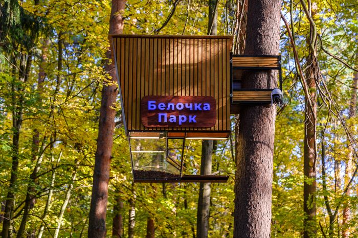 Кормушка для белок в "Белочка парке"