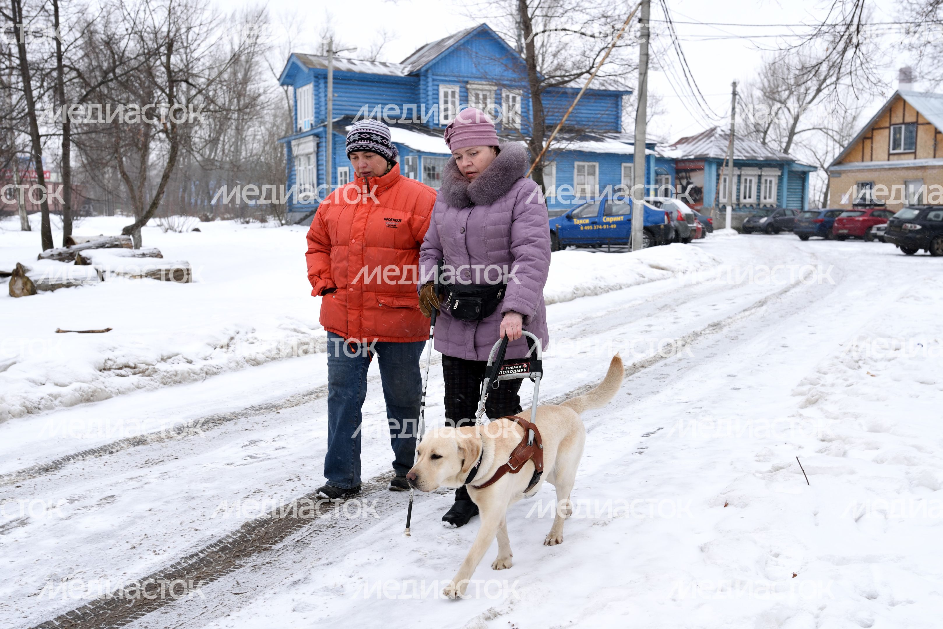 Учебно-кинологический центр в Балашихе Учебно-кинологический центр в Балашихе