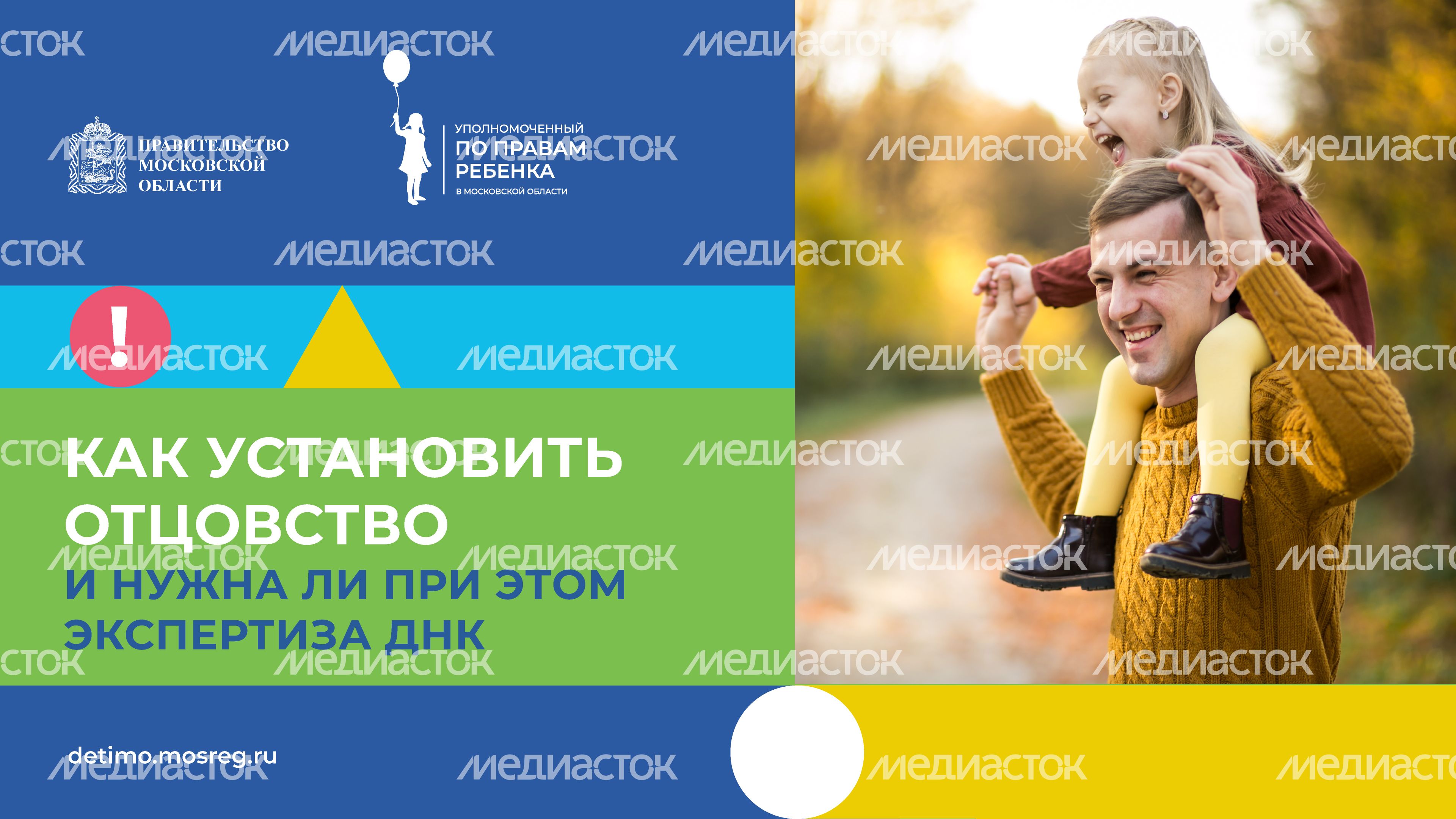 отцовство-горизонталь-01