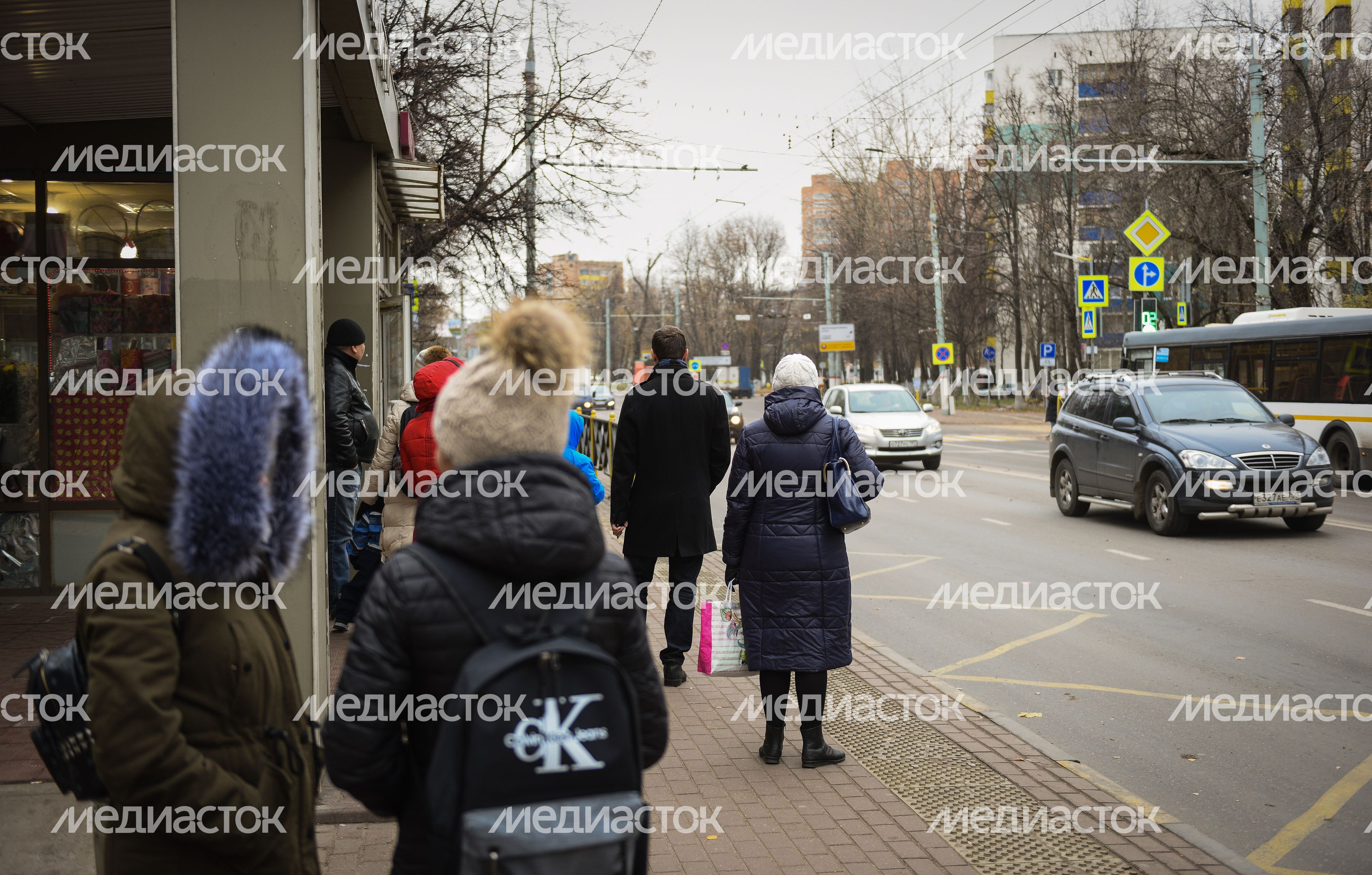 Общественный транспорт в Подмосковье