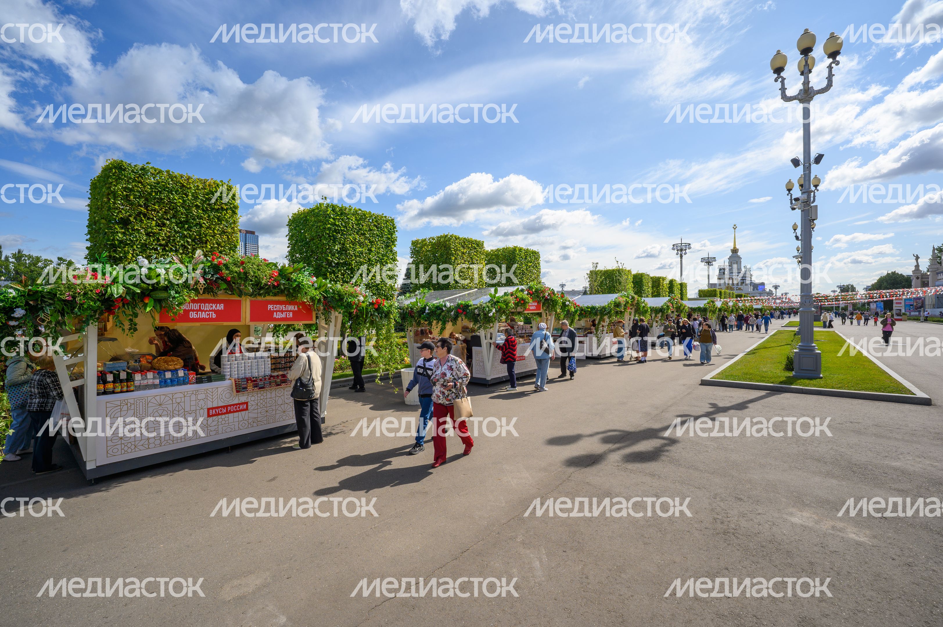 Ярмарка продуктов питания, произведенных в Подмосковье, на гастрономическом фестивале «Вкусы России» 2026 на ВДНХ
