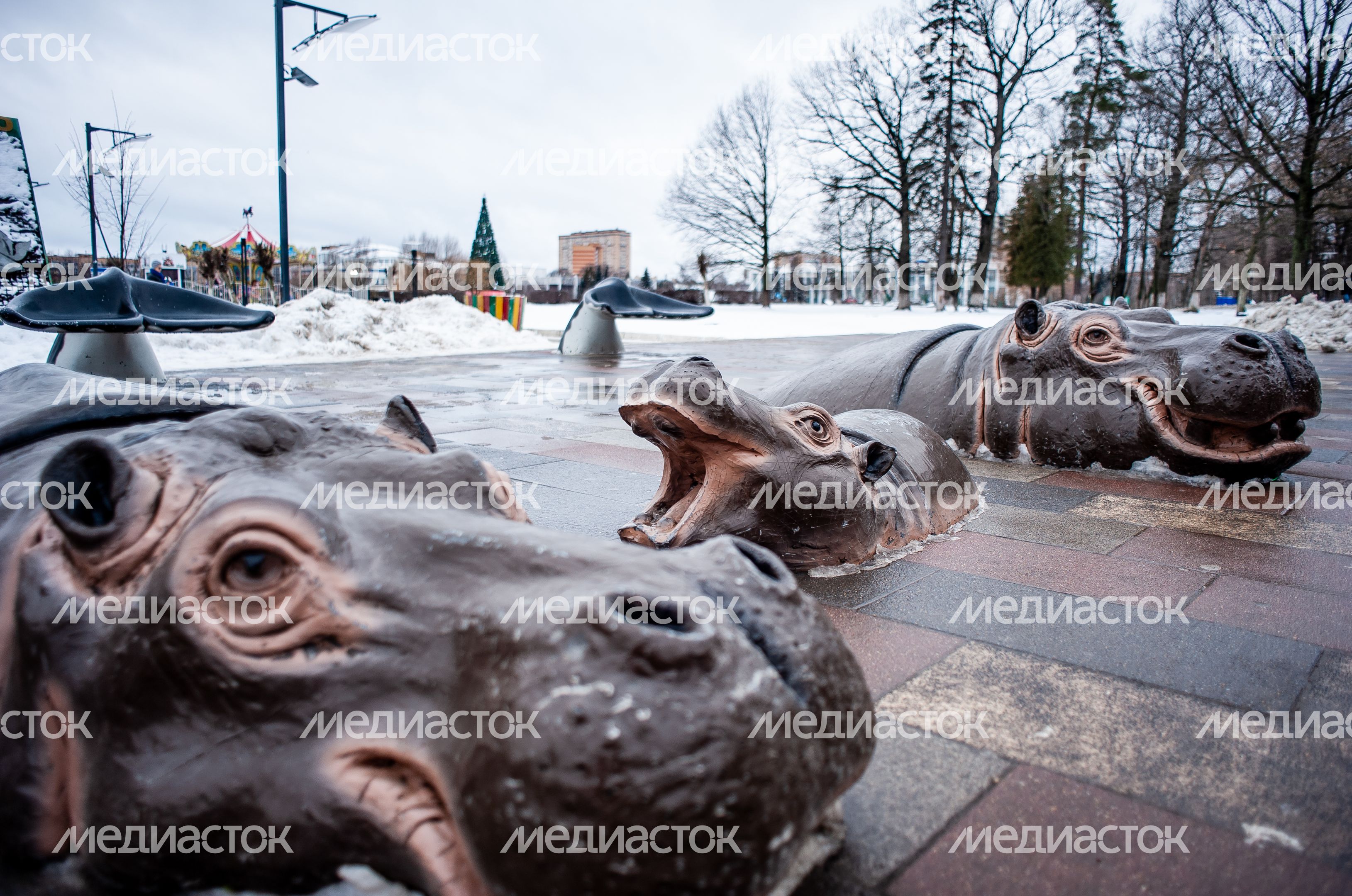 Зимние виды города Одинцово