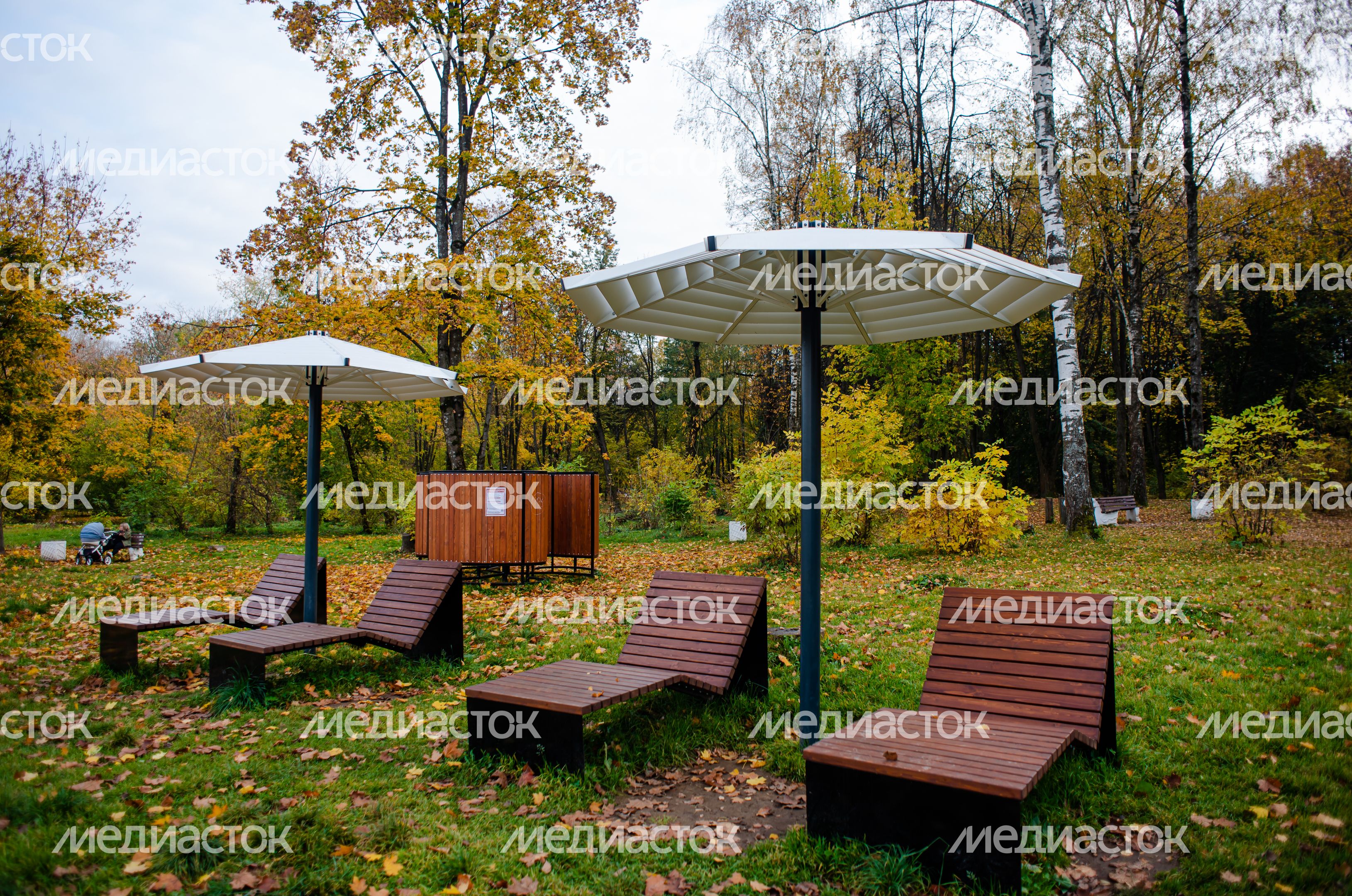 Осенние виды Городского парка в Щёлково