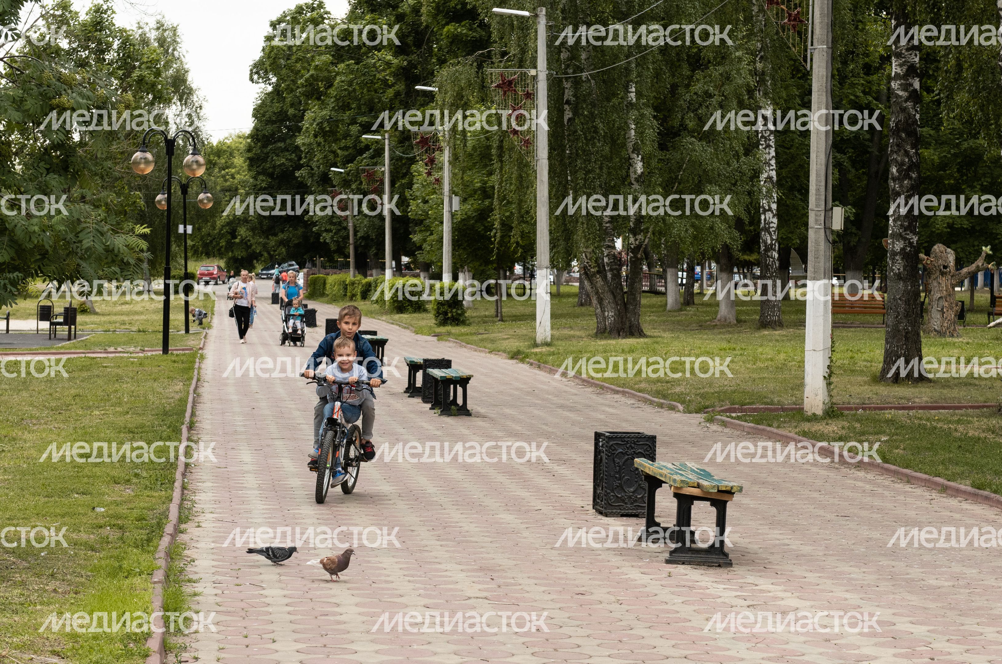 Виды города Луховицы