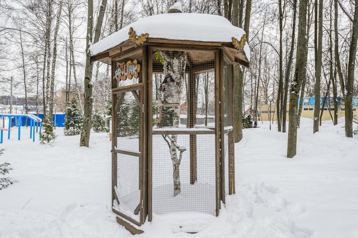 Зимний Центральный парк культуры и отдыха в Видном