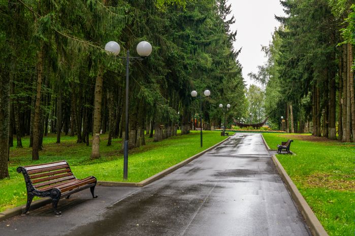 Аллея в парке культуры и отдыха Волоколамска