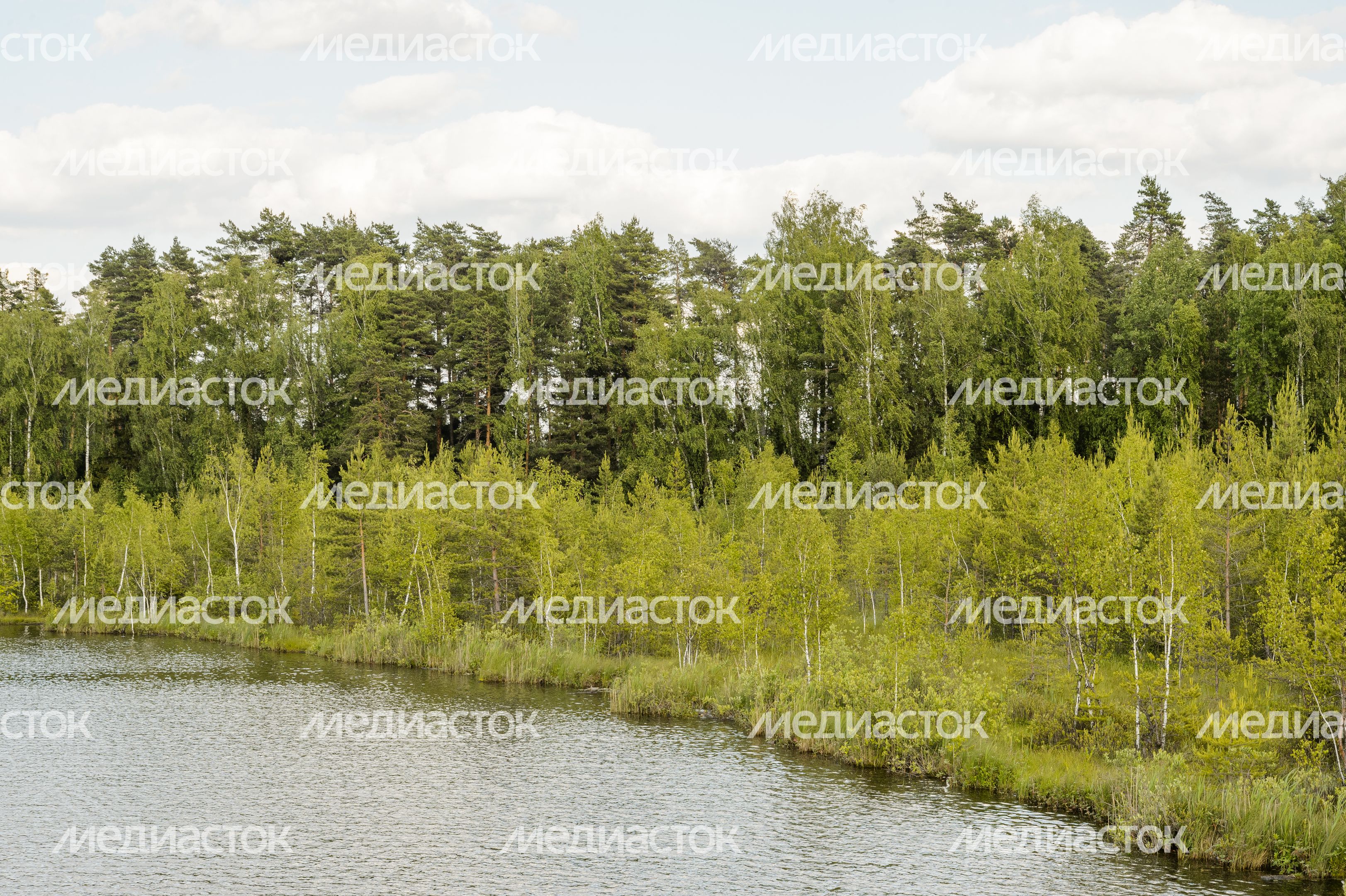 Озеро Бабошкино