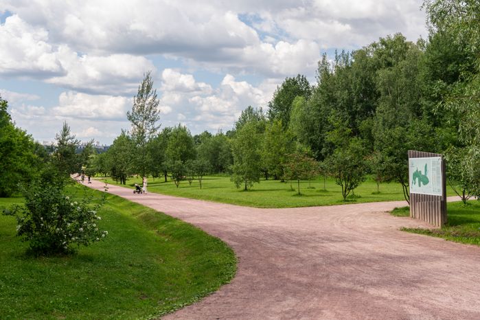 Мещерский парк летом
