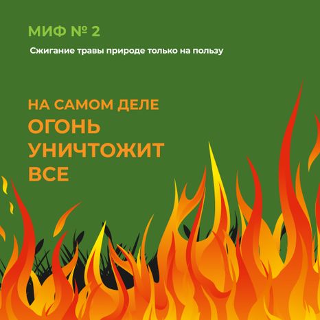 комлесхоз_пал_кв_3.jpg