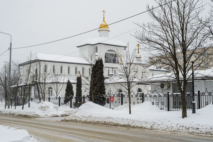 Храм Александра Невского в Балашихе