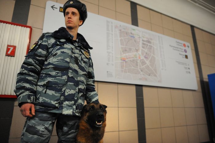 Досмотровые зоны Московского метрополитена